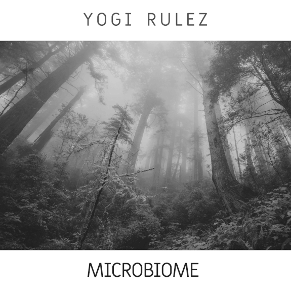 Yogi Rulez - Microbiome EP (2020)
