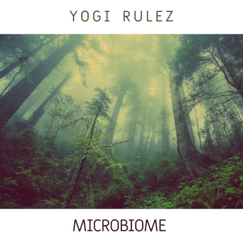 YOGI RULEZ - Microbiome EP